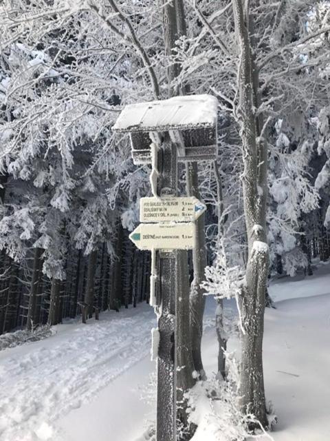 Ubytovani U Potoka Destne v Orlickych horach Exterior foto